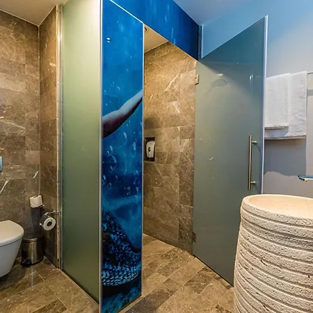 Goezegir 博德鲁姆