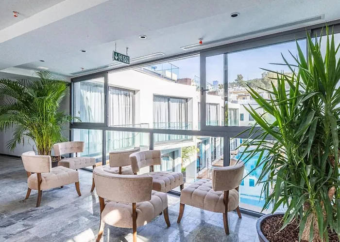 Goezegir 博德鲁姆