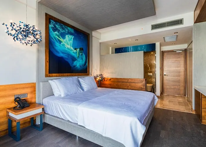 Goezegir * 博德鲁姆